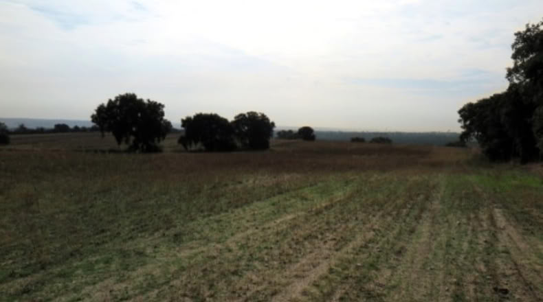 Мадрид - Navalcarnero - 30000m2