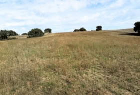 Navalcarnero 30000&nbsp;m² 