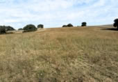Non-developable land for sale on Calle de la Constitución, Navalcarnero, ref: TR410609 photo