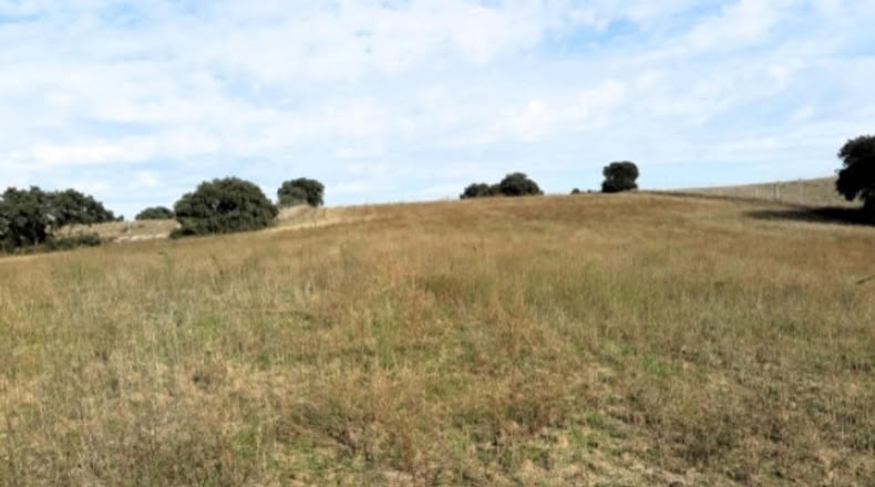 Мадрид - Navalcarnero - 30000m2