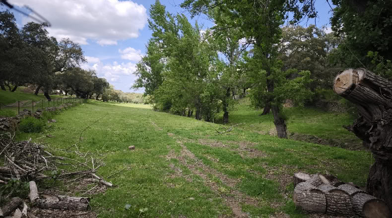 Badajoz - Cabeza la Vaca - 210000m2