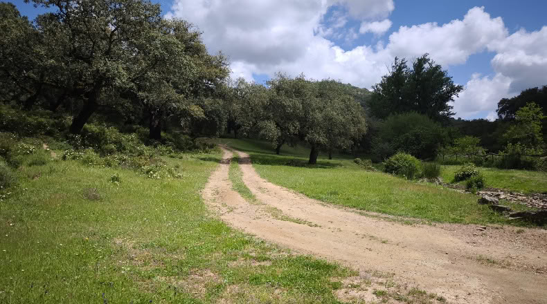 Badajoz - Cabeza la Vaca - 210000m2