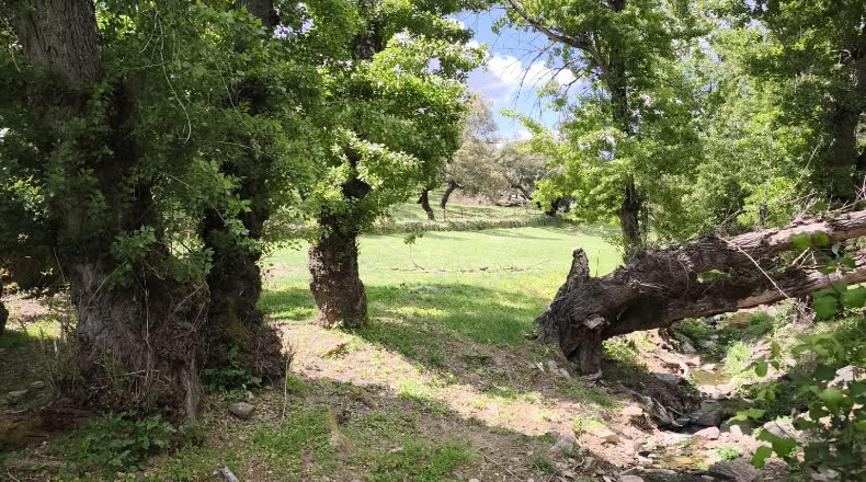 Badajoz - Cabeza la Vaca - 210000m2