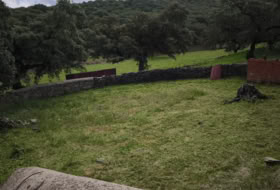 Foto 15