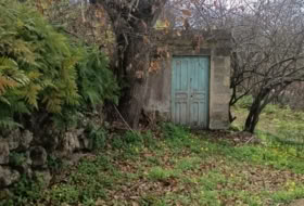 Icod de los Vinos 1400&nbsp;m² 