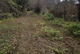 Icod de los Vinos 1400&nbsp;m² 