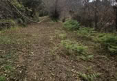 Terreno en venta en la LA FLORIDA, Icod de los Vinos, ref: TR410612 foto