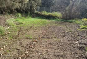 Icod de los Vinos 1400&nbsp;m² 