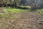 Terreno en venta en la LA FLORIDA, Icod de los Vinos, ref: TR410612 foto