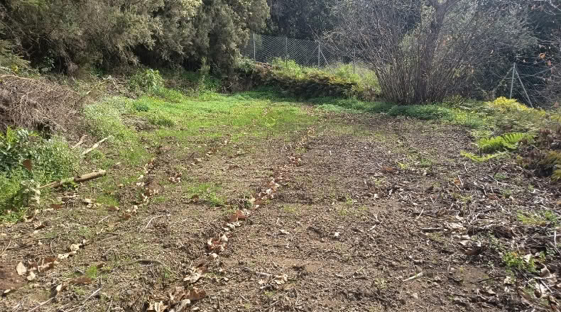 Santa Cruz de Tenerife - Icod de los Vinos - 1400m2