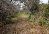 Terreno en venta en la LA FLORIDA, Icod de los Vinos, ref: TR410612 foto