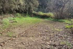 Icod de los Vinos 1400&nbsp;m² 