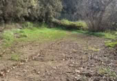 Terreno en venta en la LA FLORIDA, Icod de los Vinos, ref: TR410612 foto