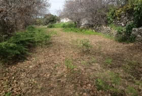 Icod de los Vinos 1400&nbsp;m² 