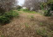 Terreno en venta en la LA FLORIDA, Icod de los Vinos, ref: TR410612 foto