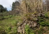 Terreno en venta en la LA FLORIDA, Icod de los Vinos, ref: TR410612 foto