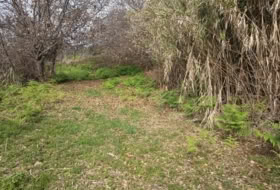 Icod de los Vinos 1400&nbsp;m² 
