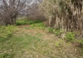 Terreno en venta en la LA FLORIDA, Icod de los Vinos, ref: TR410612 foto