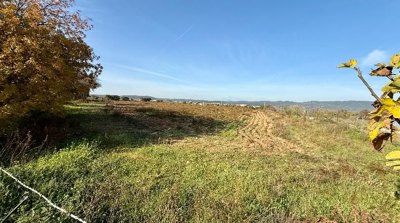 Comunidad de Madrid - Navalcarnero - 69500m2
