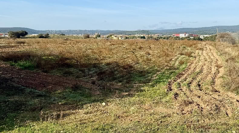 Comunidad de Madrid - Navalcarnero - 69500m2