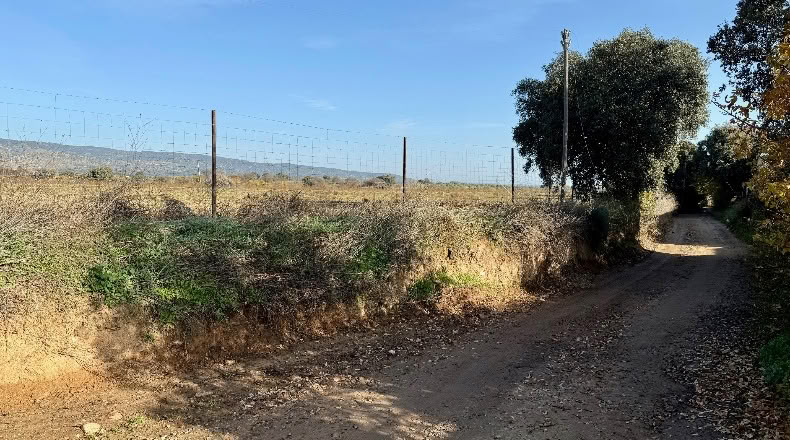 Comunidad de Madrid - Navalcarnero - 69500m2