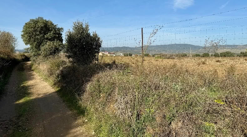 Comunidad de Madrid - Navalcarnero - 69500m2