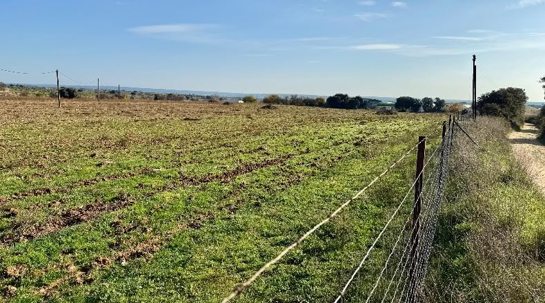 Comunidad de Madrid - Navalcarnero - 69500m2