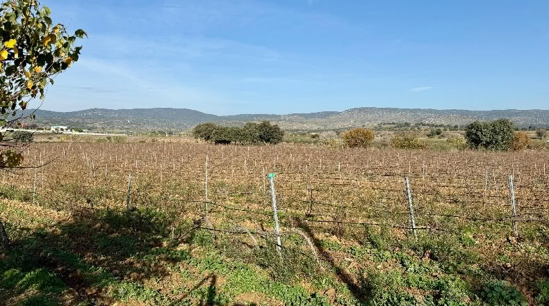 Comunidad de Madrid - Navalcarnero - 69500m2