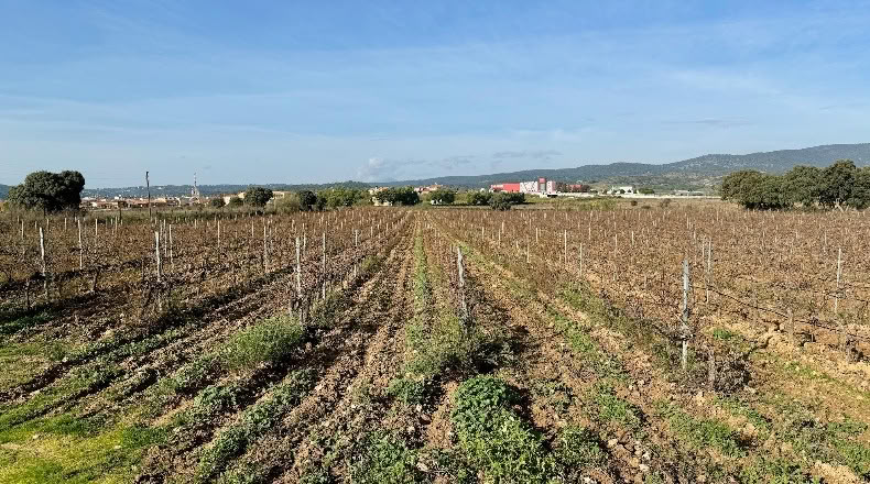Comunidad de Madrid - Navalcarnero - 69500m2