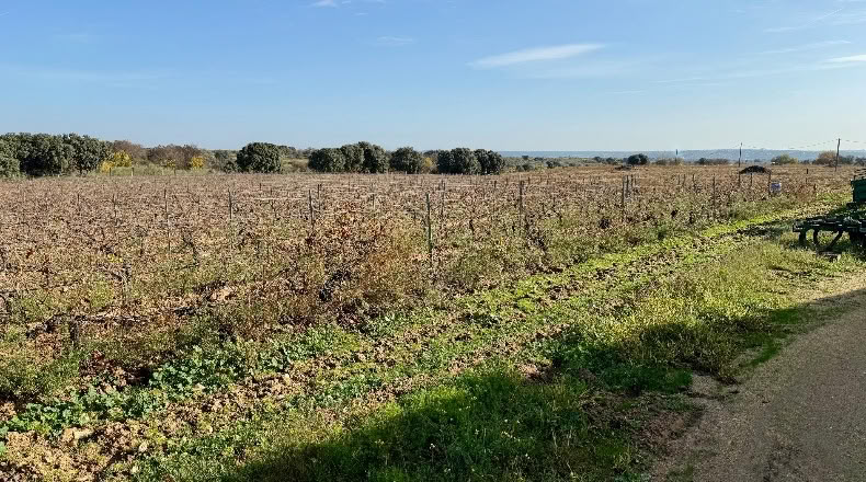Comunidad de Madrid - Navalcarnero - 69500m2