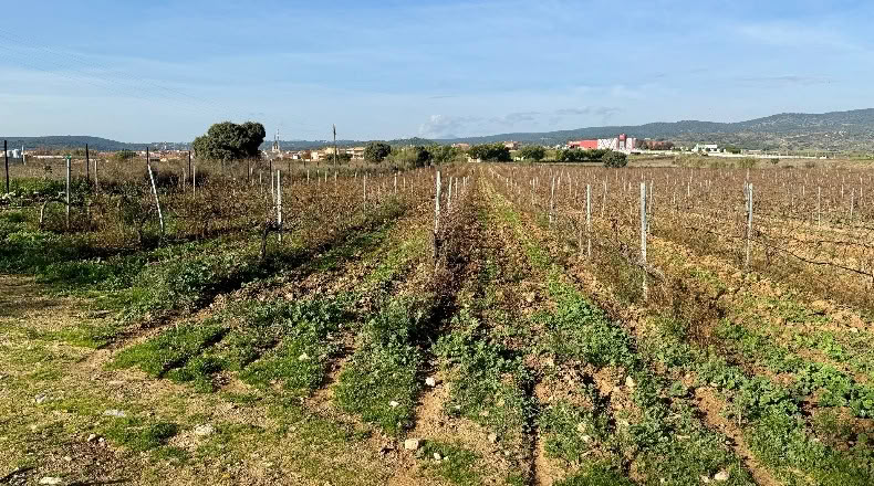 Comunidad de Madrid - Navalcarnero - 69500m2