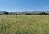 Terreny no urbanitzable en venda a la España, Castelló de la Plana, ref.: TR246864 foto