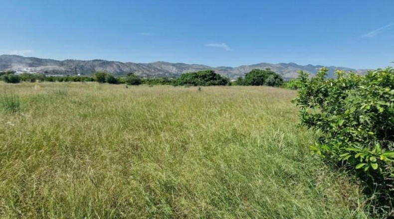 Castellon - Castellón de la Plana - 2661m2
