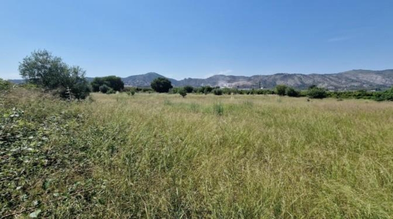 Castellon - Castellón de la Plana - 2661m2
