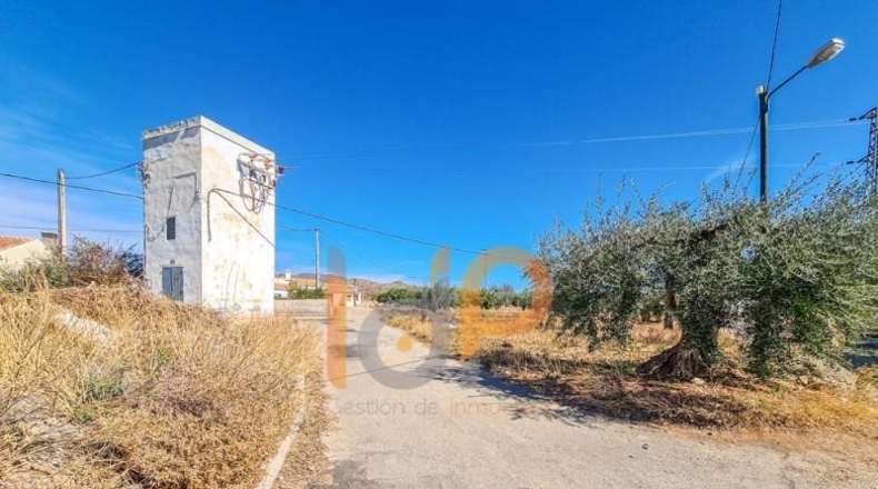Almería - Huércal-Overa - 611m2