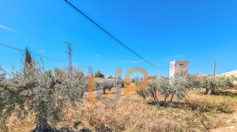 Almería - Huércal-Overa - 611m2