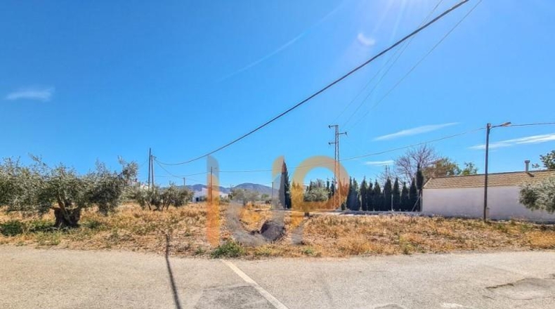 Almería - Huércal-Overa - 611m2