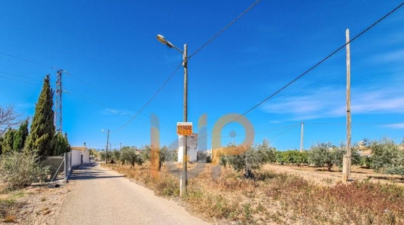 Almería - Huércal-Overa - 611m2