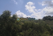 Non-developable land for sale on España, Castelló de Rugat, ref: TR322340 photo