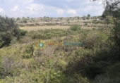 Non-developable land for sale on España, Castelló de Rugat, ref: TR322340 photo