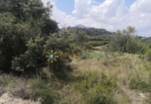 Non-developable land for sale on España, Castelló de Rugat, ref: TR322340 photo