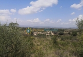 Non-developable land for sale on España, Castelló de Rugat, ref: TR322340 photo