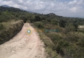 Non-developable land for sale on España, Castelló de Rugat, ref: TR322340 photo