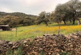 Aracena 51&nbsp;m²