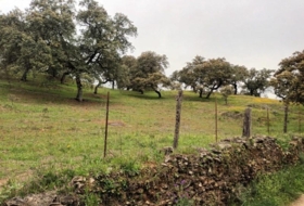 Aracena 51&nbsp;m²