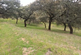 Aracena 51&nbsp;m²