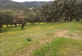 Aracena 51&nbsp;m²