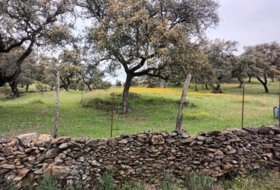 Aracena 51&nbsp;m²