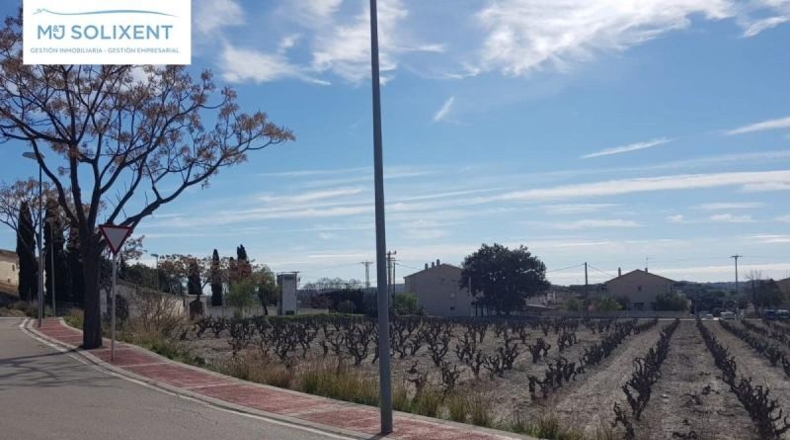 Tarragona - Banyeres del Penedès - 300m2