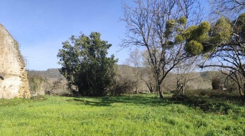 Cantabria - Santa María de Cayón - 745m2